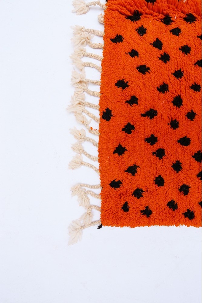 Wild Cheetah 255 x 160cm